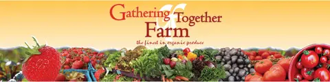 Gathering Toegther Farm 
